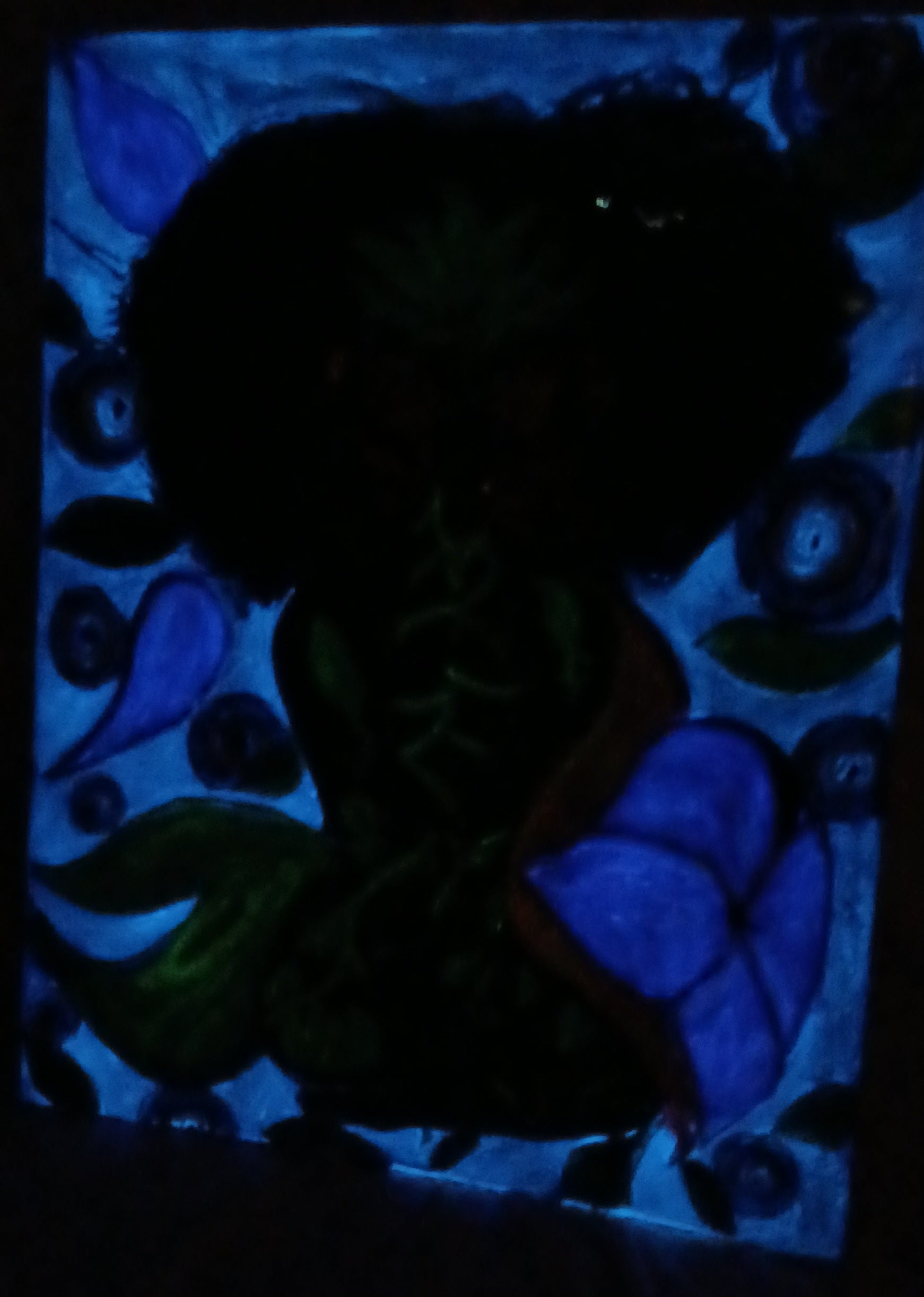 Hidden beauty 20x16